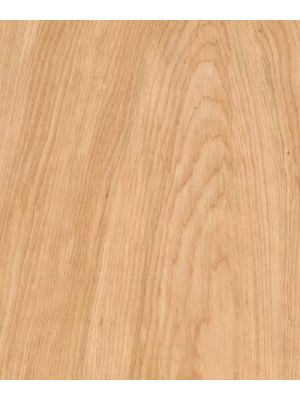 Red Birch - Plywood - Products